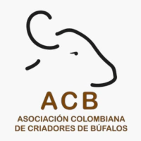Asociación Colombiana de Búfalos Asociación Colombiana de Búfalos